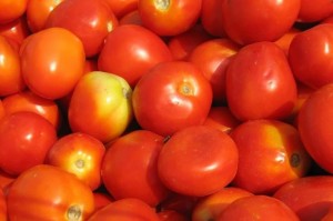 TOMATE 3