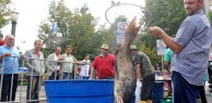 Feira do Peixe Vivo e Feira do Vinho em Caxias do Sul