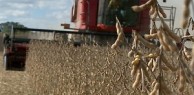 Previsão de chuva abaixo da média na primavera preocupa agricultores